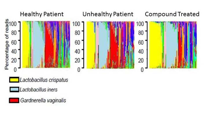 Three images comparing healthy, unhealthy, and compound treated patient groups