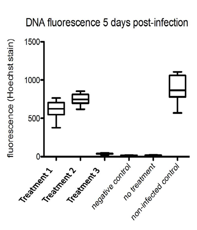 Chart for DNA fluorescence 5 days post-infection